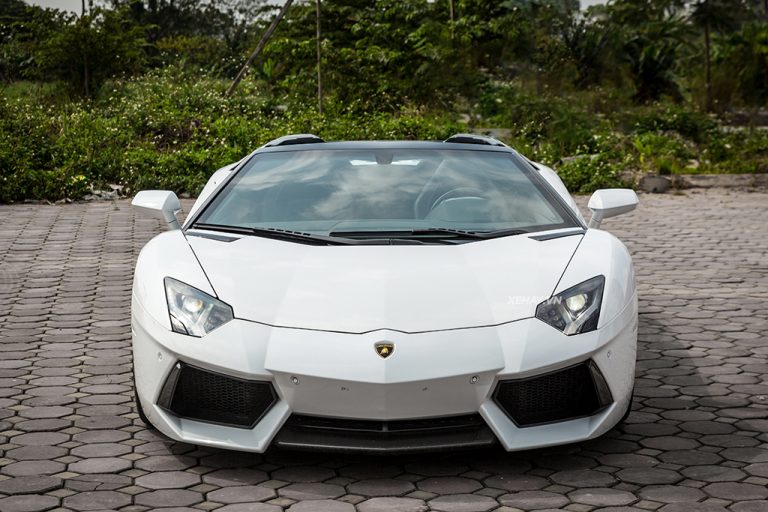 Lamborghini Aventador Roadster – Dòng máu thuần chủng!